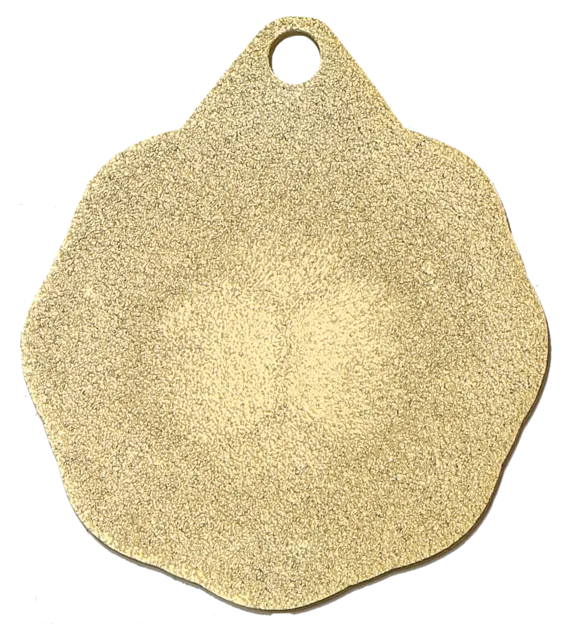 MMC1232 G (tył) - szablon.png