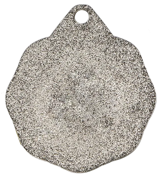 MMC1232 S (tył) - szablon.png