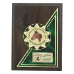 PLAKIETA PD16B - 17,5 x 12,5 cm