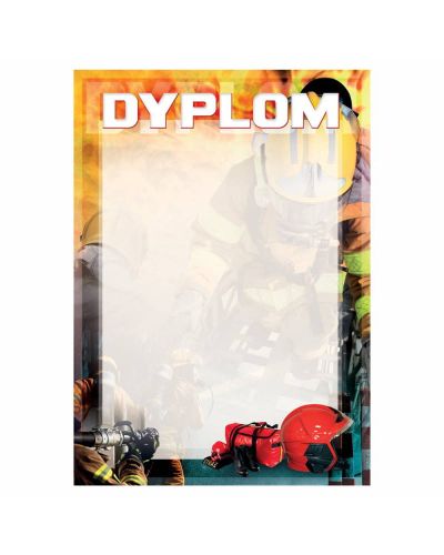 dyplom-d-221.jpg