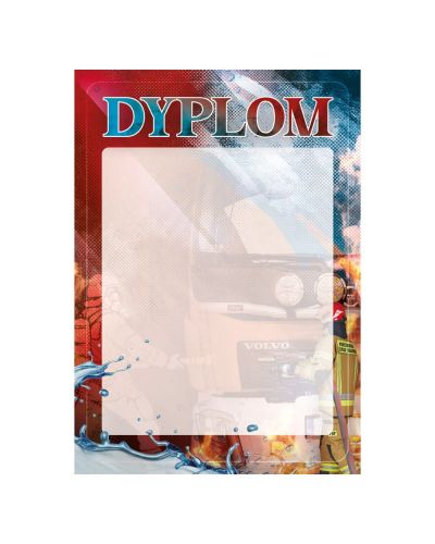 dyplom-d-220.jpg