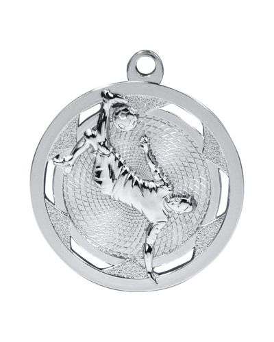 medal-m50-pilka-nozna.jpg