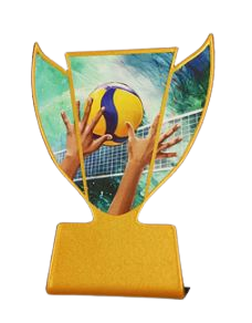 vol.png
