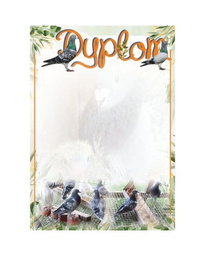 dyplom-d-218 (1).jpg