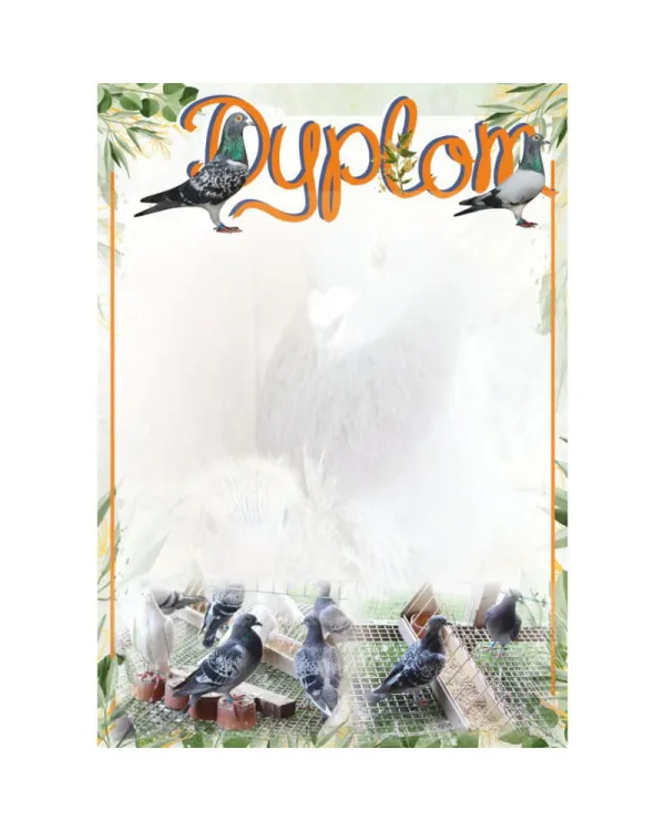 dyplom-d-218 (1).jpg