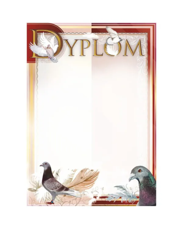 dyplom-d-218 (8).jpg