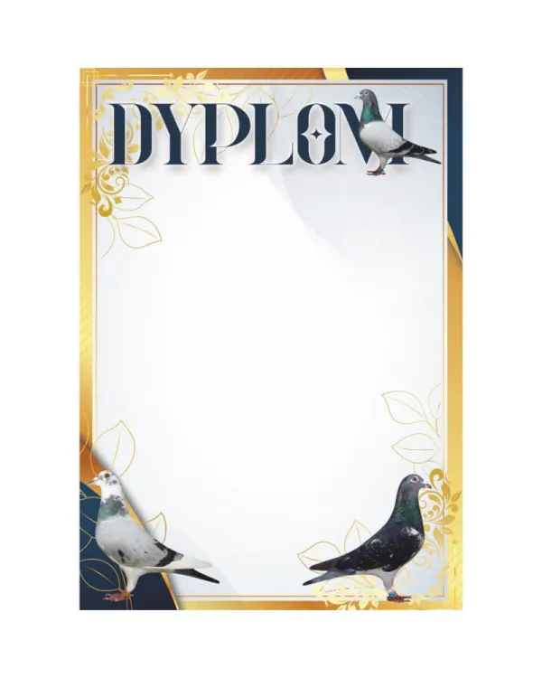 dyplom-d-218 (9).jpg