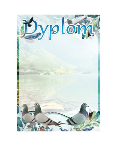 dyplom-d-218 (10).jpg