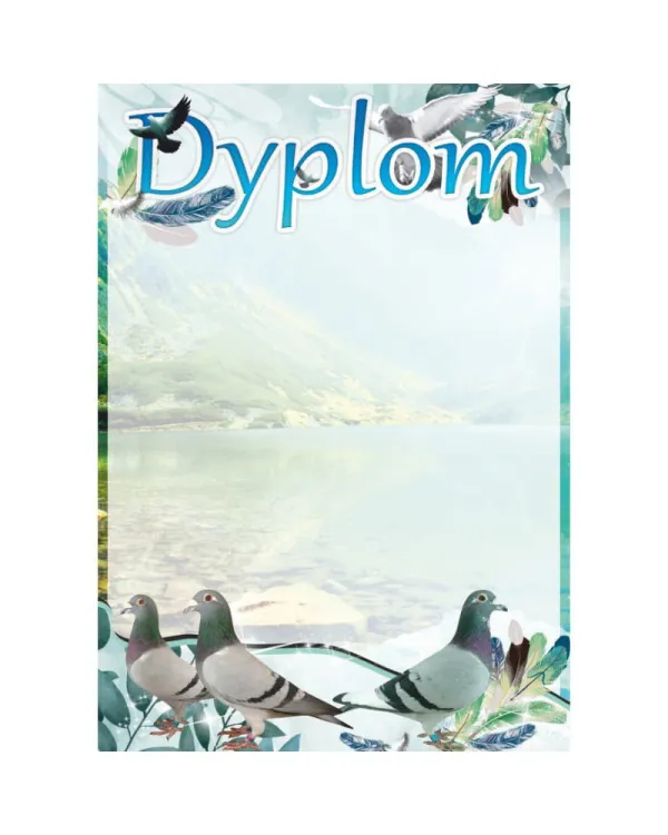 dyplom-d-218 (10).jpg