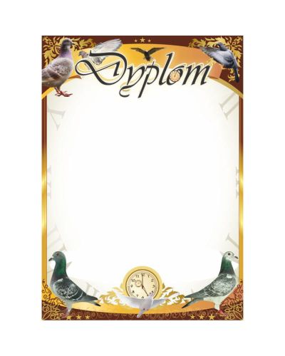 dyplom-d-218 (11).jpg