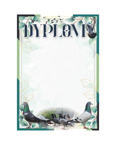 dyplom-d-218 (12).jpg