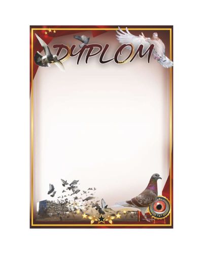 dyplom-d-218 (16).jpg