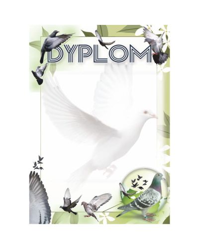 dyplom-d-218 (18).jpg