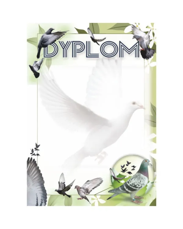 dyplom-d-218 (18).jpg