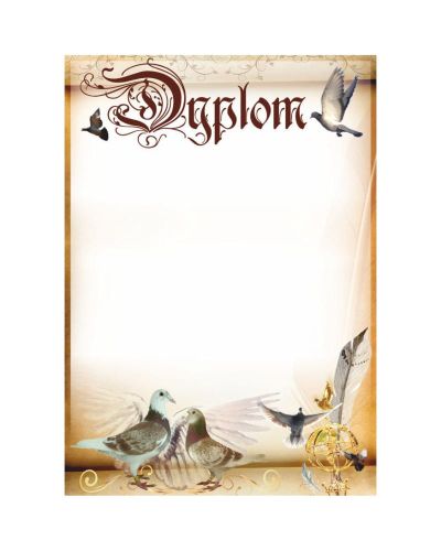 dyplom-d-218 (22).jpg