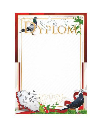 dyplom-d-218 (23).jpg