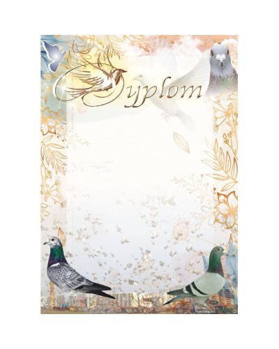 dyplom-d-218 (26).jpg