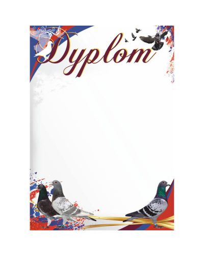 dyplom-d-218 (28).jpg