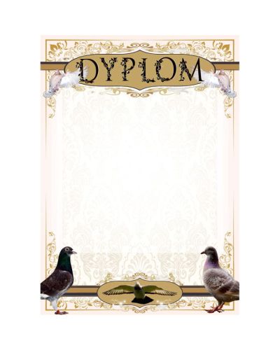 dyplom-d-218 (29).jpg