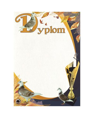 dyplom-dh-254.jpg