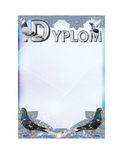 dyplom-dh-262.jpg