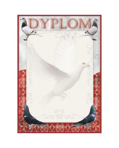 dyplom-dh-263.jpg