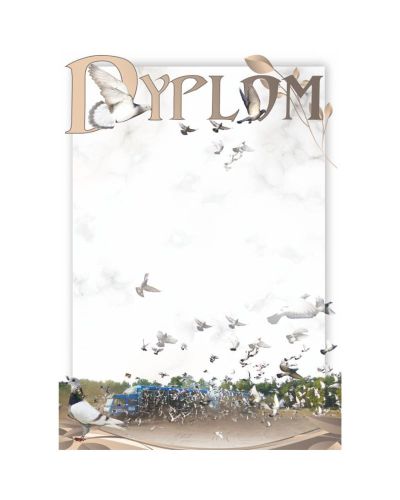 dyplom-dh-266.jpg