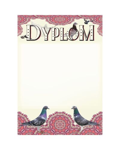 dyplom-dh-271.jpg