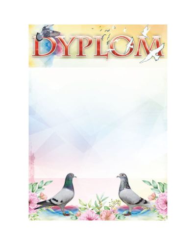 dyplom-dh-275.jpg