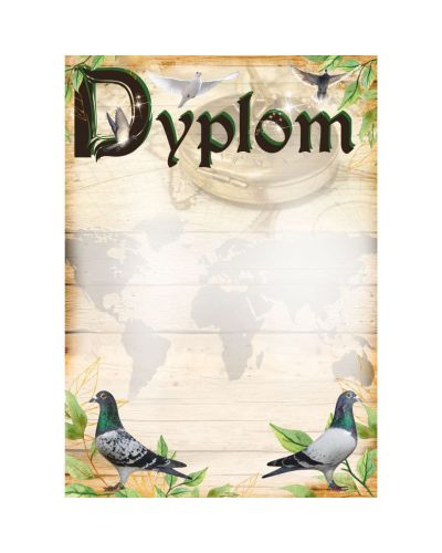 dyplom-dh-276.jpg