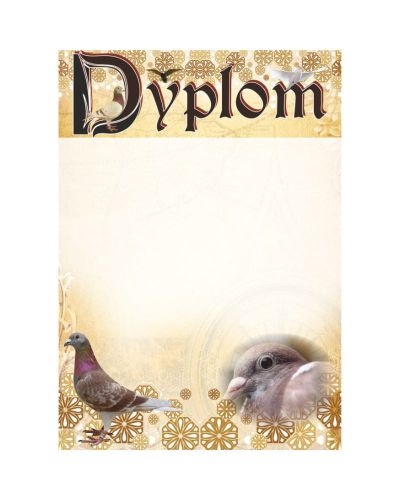 dyplom-dh-277.jpg