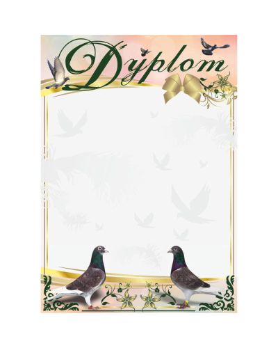 dyplom-dh-279.jpg