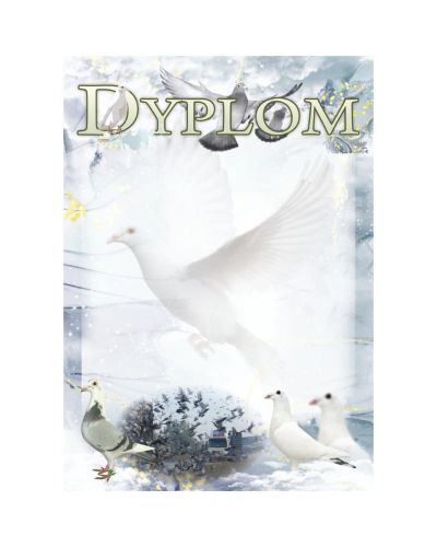dyplom-dh-332.jpg