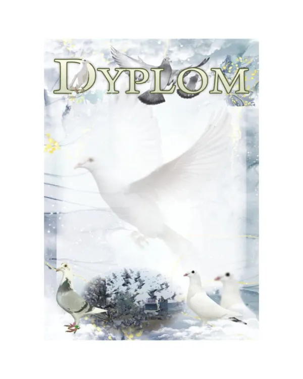 dyplom-dh-332.jpg