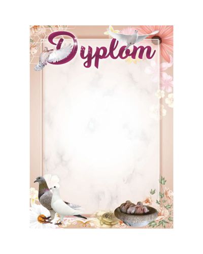 dyplom-dh-298.jpg