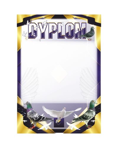 dyplom-dh-313.jpg