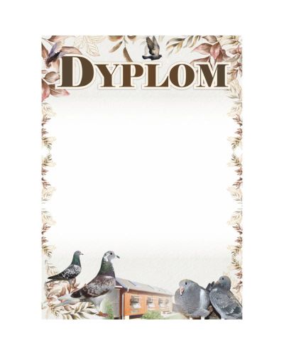 dyplom-dh-285.jpg