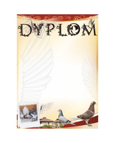 dyplom-dh-290.jpg