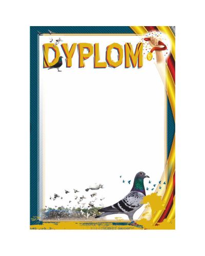 dyplom-dh-319.jpg