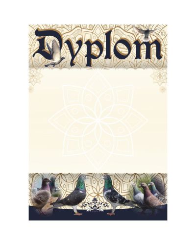 dyplom-dh-281.jpg