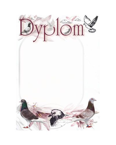 dyplom-dh-334.jpg