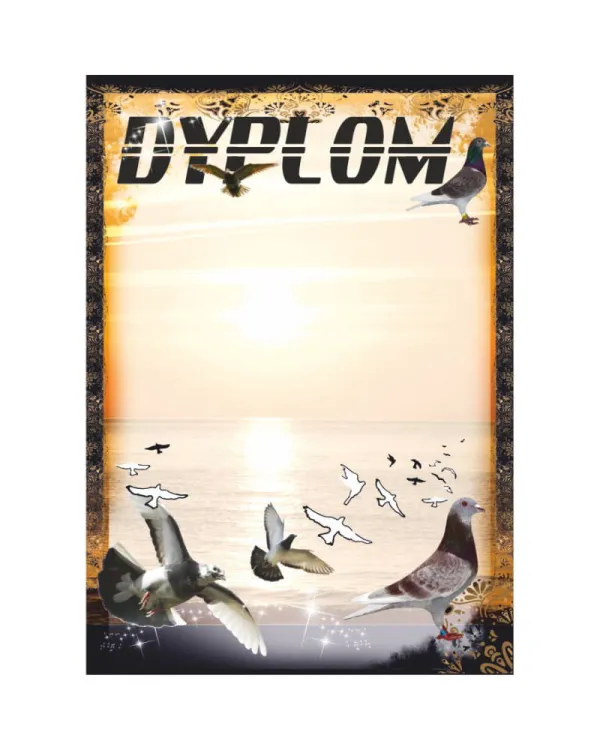 dyplom-dh-331.jpg