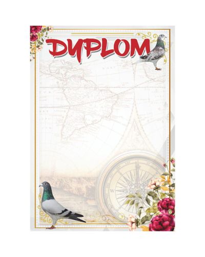 dyplom-dh-286.jpg