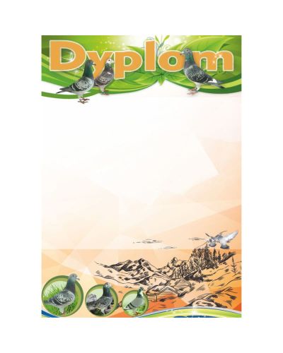 dyplom-dh-288.jpg