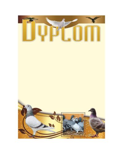 dyplom-dh-292.jpg