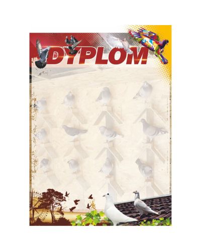 dyplom-dh-294.jpg