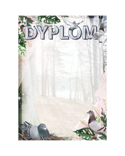 dyplom-dh-295.jpg