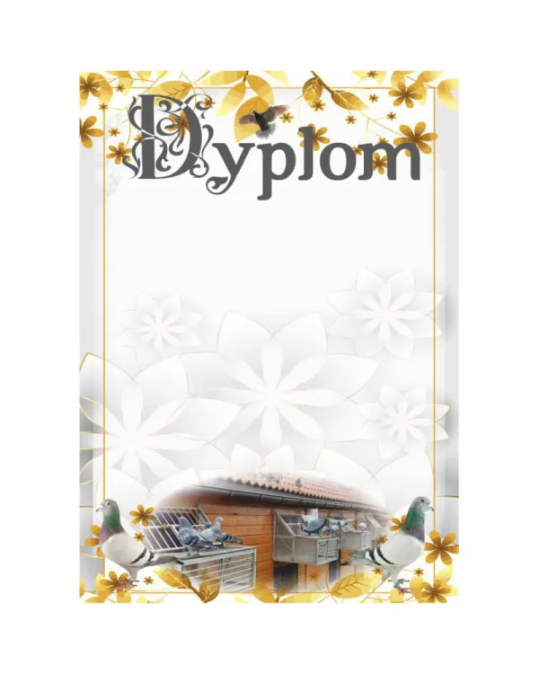 dyplom-dh-321.jpg