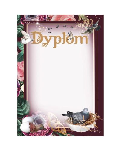 dyplom-dh-320.jpg