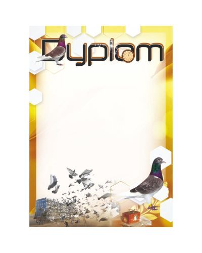 dyplom-dh-314.jpg